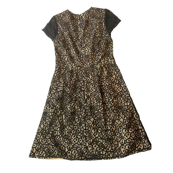 Loft Womens Black & Beige Lace Overlay Dress Size 0 - Picture 2 of 9